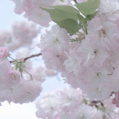 涵江FurryQQ群介绍